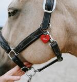 Aluminium penning – hartvormig met lasergravure